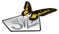 Free Self improvement Quiz